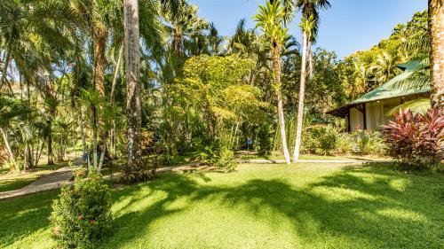 a yard with palm trees and a house at Hotel Villas Rio Mar in Dominical