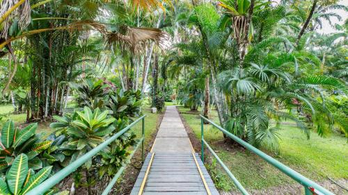 a wooden path through a jungle with palm trees at Hotel Villas Rio Mar in Dominical