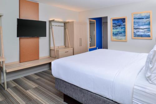 a hotel room with a large bed and a flat screen tv at Holiday Inn Express & Suites - Southgate - Detroit Area by IHG in Southgate