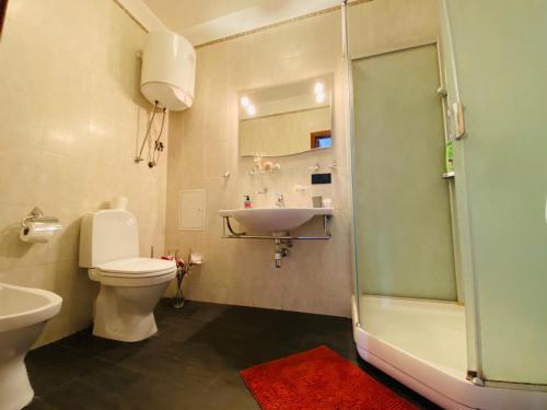 La salle de bains est pourvue de toilettes, d'un lavabo et d'une douche. dans l'établissement Amazing view of Independence square, à Kiev