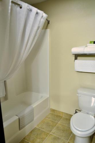 a bathroom with a white toilet and a bath tub at Cobblestone Inn & Suites - Lake View in Lake View