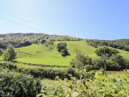 a green hillside with trees in a field at Dolgenau Hir - The Barn in Trefeglwys