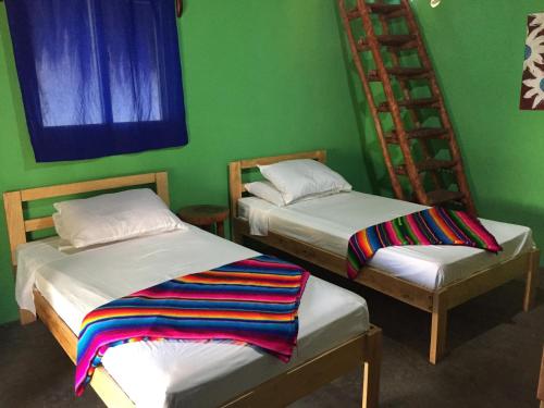 two beds in a room with a green wall at Sunrise El Paredón in El Paredón Buena Vista
