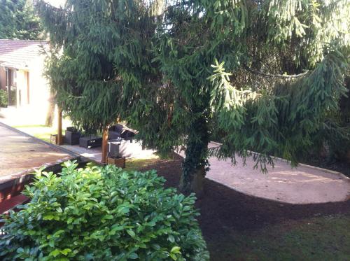 a tree in a yard next to some bushes at Les Tilleuls Montbeliard Sud Audincourt in Audincourt
