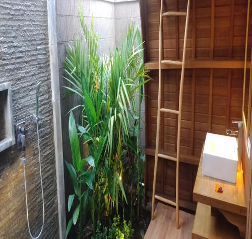 łazienka z prysznicem i rośliną w obiekcie Villa Lumbung Amertha Sari w mieście Lovina