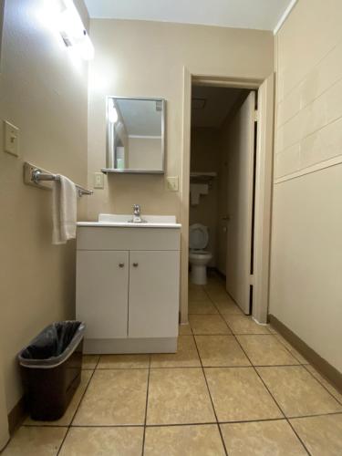 W łazience znajduje się umywalka, lustro i toaleta. w obiekcie Regency Inn w mieście Dodge City