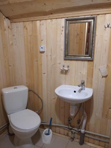 a bathroom with a toilet and a sink at Аляска in Oryavchyk
