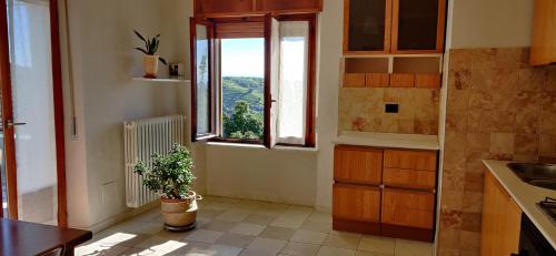 uma cozinha com uma janela e um vaso de plantas em Cà ed Michel em Neviglie