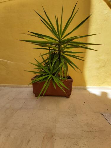 Foto de la galería de Ai Carrettieri en Trani