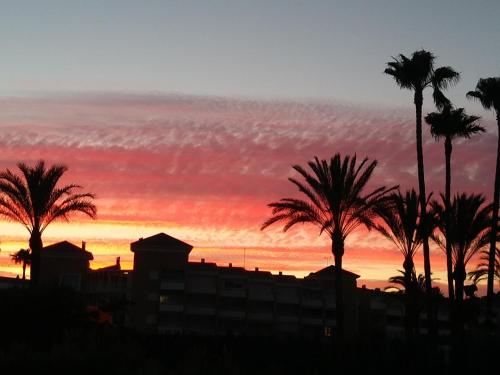a sunset with palm trees in front of a building at atico en Las Americas Islantilla primera línea de playa in Islantilla