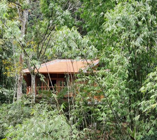 a cabin in the middle of a forest of trees at Gumi Ayu EcoStay in Munduk