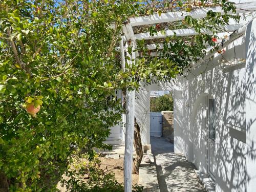 Gallery image of Maria Elena - Suite Home in Mýkonos City