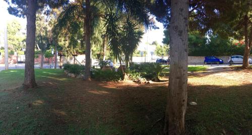a park with a bunch of trees in the grass at A1 Elegant Vouliagmeni apt in a Unique Spot in Athens