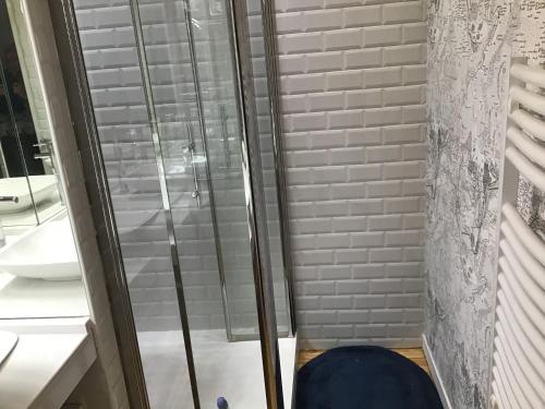 a shower with glass doors in a bathroom at Tourmalet Home in Luz-Saint-Sauveur