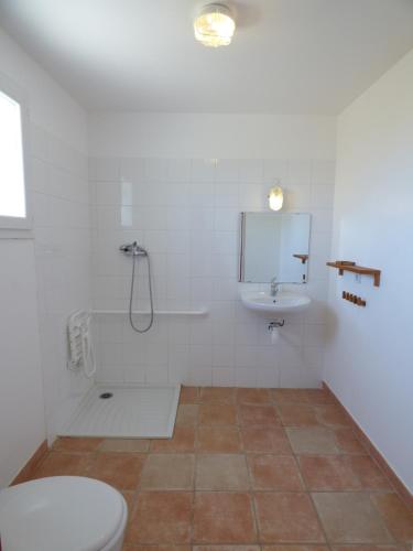 une salle de bain avec toilettes et lavabo dans l'établissement Bergerie Du Plo, à Montlaur