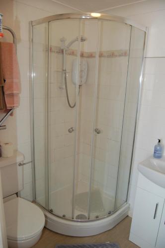 a shower stall in a bathroom with a toilet at The Willows in Tintagel