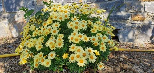 Afbeelding uit fotogalerij van Agriturismo Sant'Anna in Sanremo
