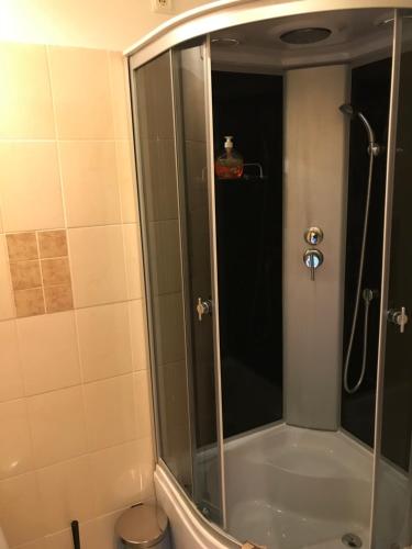 een douche met een glazen deur in de badkamer bij Lauku viesnīca Valdenrode in Zaķumuiža