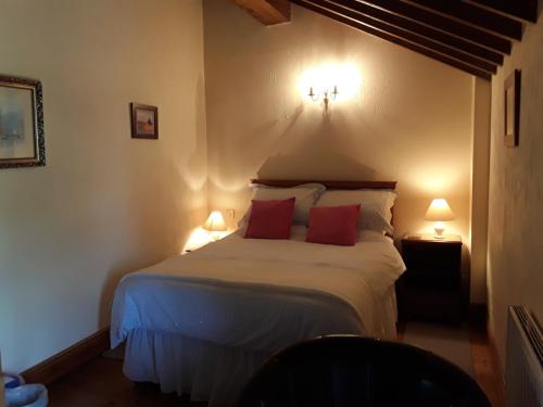 a bedroom with a bed with red pillows and two lamps at The Granary in Talgarth