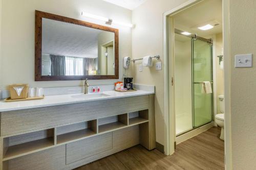 a bathroom with a sink and a mirror at Econo Lodge Middlesboro in Middlesboro