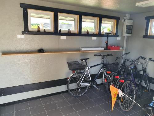 Tiny Haus Dorf Wendland – Photos 4