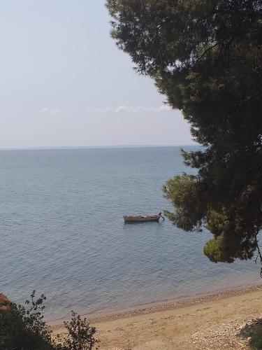 Photo de la galerie de l'établissement Cortessa Apartments, à Nikiti