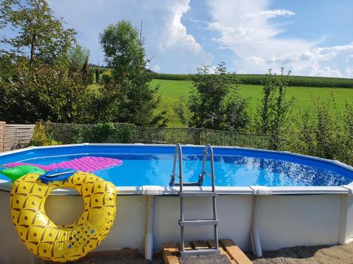 una piscina con un flotador amarillo al lado en Villa Kunterbunt, en Grosswangen