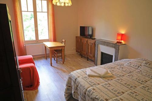 1 dormitorio con cama, TV y chimenea en Gîte de Truyère en Entraygues-sur-Truyère