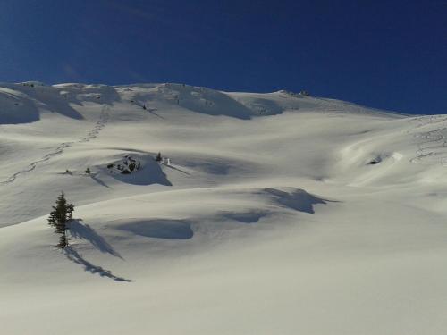 a snow covered mountain with people skiing down it at Gartenapartment in Zell am See