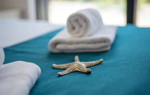 two starfish sitting on the floor of a room at VILA STEMARK in Njivice