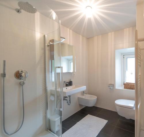 a bathroom with a shower and a sink and a toilet at Villa al Bosco in Selva di Val Gardena