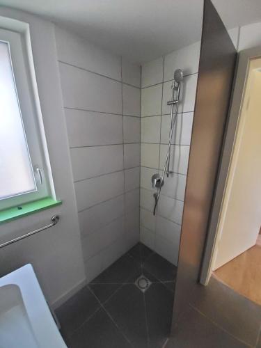 a bathroom with a shower with a glass door at Boardinghouse Donau Lodge in Donaueschingen