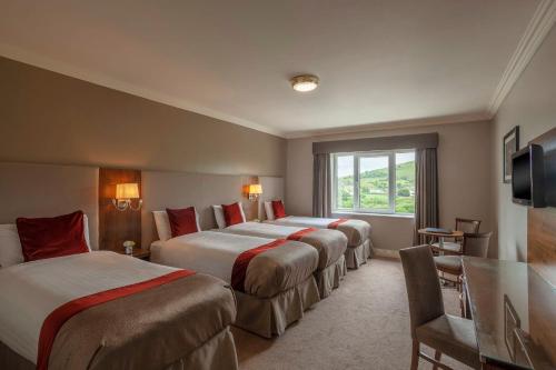 Afbeelding uit fotogalerij van Carrickdale Hotel & Spa in Dundalk