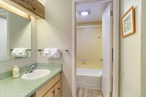 a bathroom with a sink and a mirror and a tub at Lichenhearth 31 in Snowmass Village