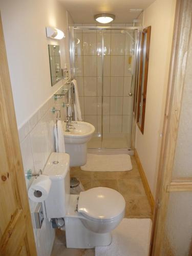 a bathroom with a toilet and a sink and a shower at Lellizzick Farmhouse in Padstow