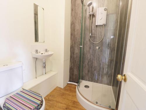 a bathroom with a shower and a toilet and a sink at Castle Lodge in Harlech