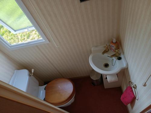a small bathroom with a sink and a toilet at Domek Holenderski Dzierwany in Wiżajny