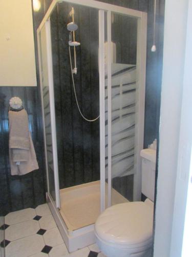 a bathroom with a shower and a toilet at The Yellow Rose B&B in Ballina