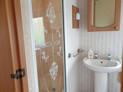 a bathroom with a shower and a sink at Ruth's Rest Country Retreat with private Hot Tub in Shrewsbury
