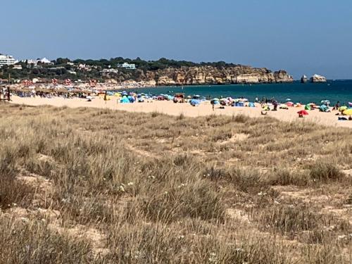 Alvor tendance