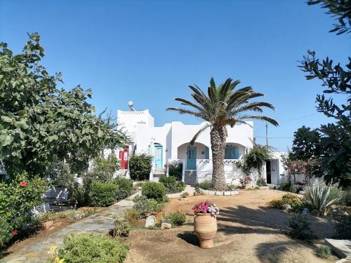 Fotografie z fotogalerie ubytování Nyfes Traditional Boutique Vagelio v destinaci Skyros