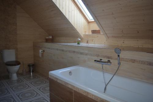 a bathroom with a bath tub and a toilet at Penzion Kota 509 in Janovice