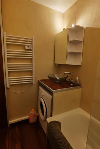 La petite salle de bains est pourvue d'un lavabo et d'un lave-linge. dans l'établissement Le balcon de villard, à Villard-de-Lans
