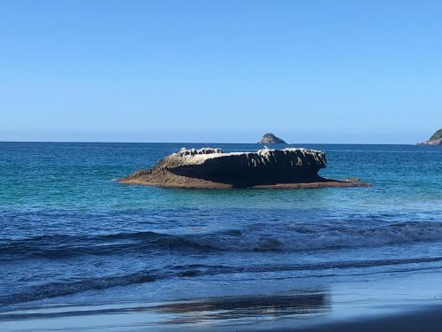 a small island in the middle of the ocean at Hahei Beach Bach. in Hahei