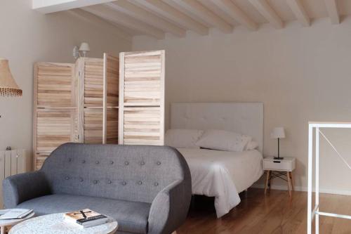 1 dormitorio con 1 cama, 1 sofá y 1 silla en Apartamento Parque de Bonaval, en Santiago de Compostela