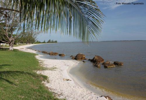 a beach with rocks in the water and a palm tree at Casa Aconchegante in Araruama