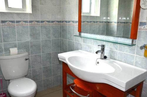 een badkamer met een wastafel, een toilet en een spiegel bij Moonlight Beach Villa in La Digue