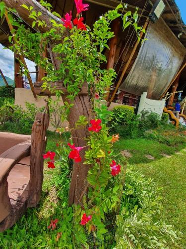 Zahrada ubytování Mari Pai Resort