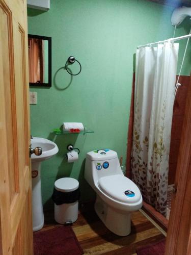 a green bathroom with a toilet and a sink at The Green Tree Lodge in Monteverde Costa Rica