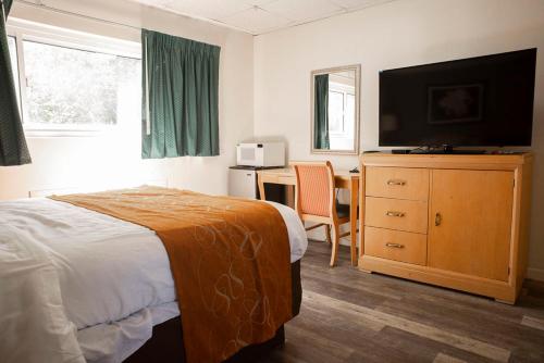 a bedroom with a bed and a desk and a television at Bedford Motel in Bedford